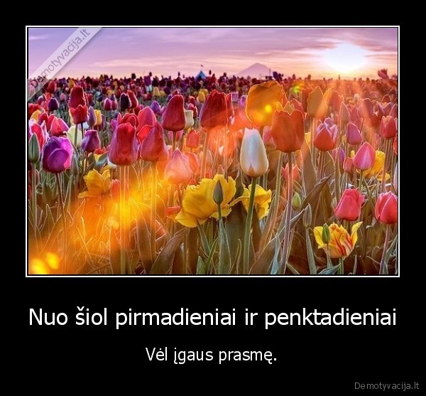 vasara,atostogos,pirmadienis,penktadienis