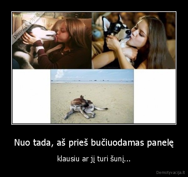 suo,buciuoti,slykstu,fui,paneles