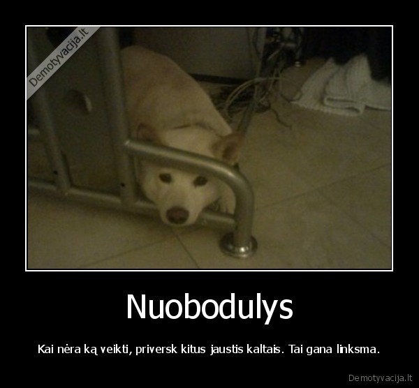 Nuobodulys