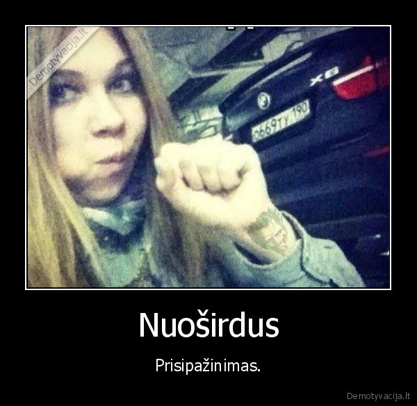 prisipazinti,bmw,panele