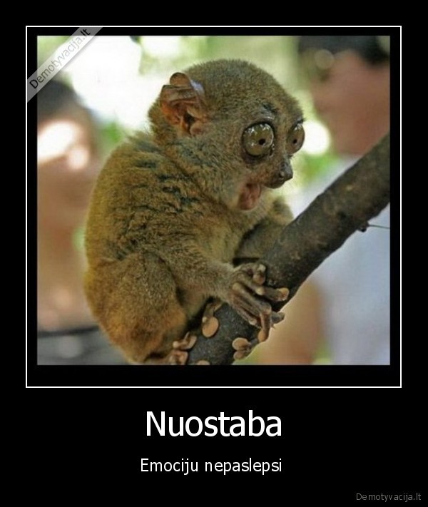 Nuostaba
