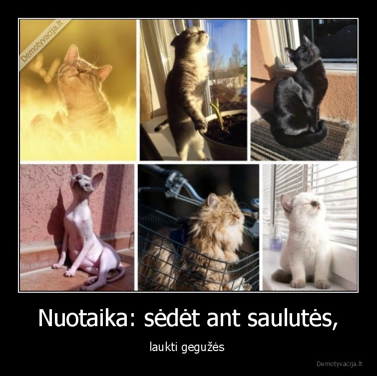 katinai,saulute,geguze