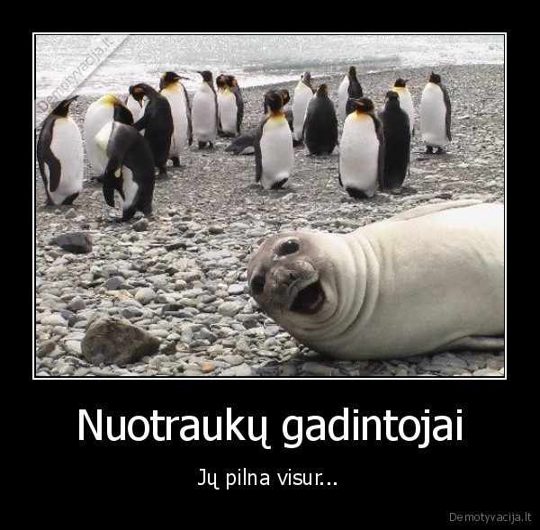 Nuotraukų gadintojai