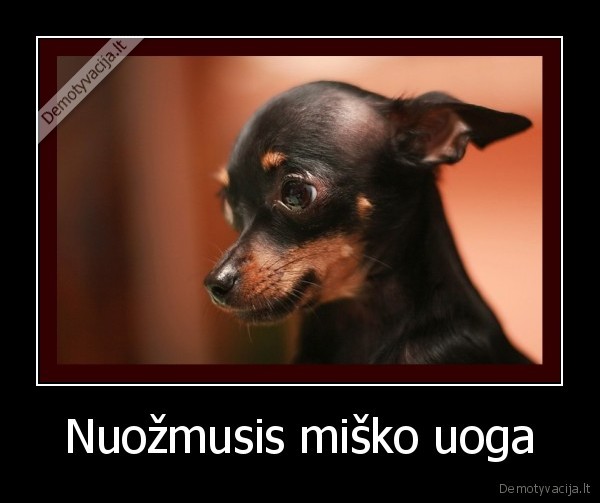 Nuožmusis miško uoga