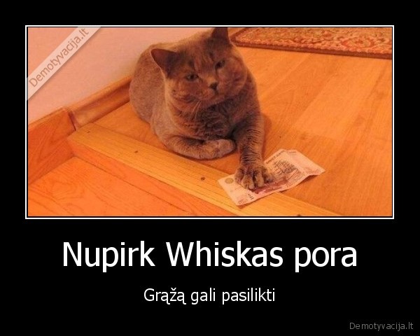 graza,whiskas,kaciu, maistas