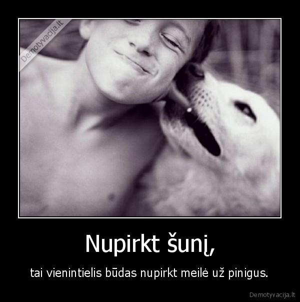 Nupirkt šunį,