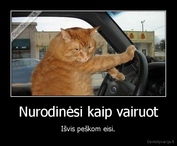 vairuoti,nurodineti