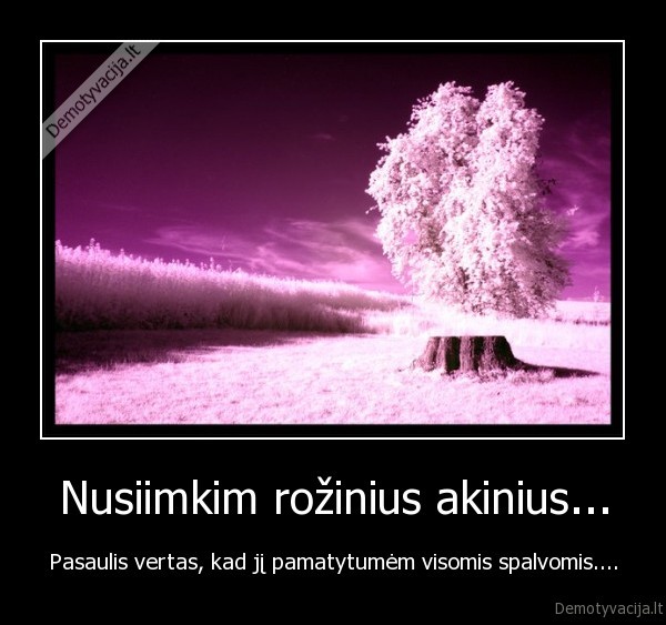 pasaulis