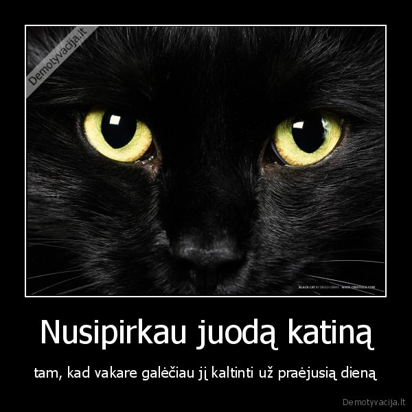 Nusipirkau juodą katiną