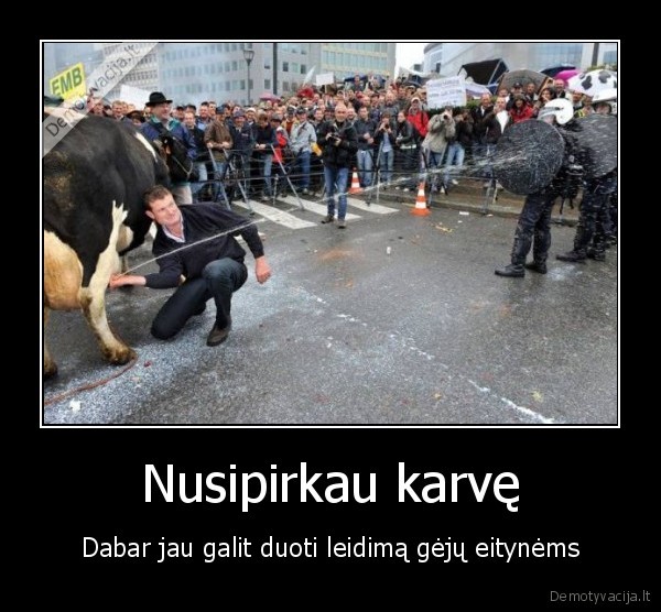geju, eitynes,karve,riauses