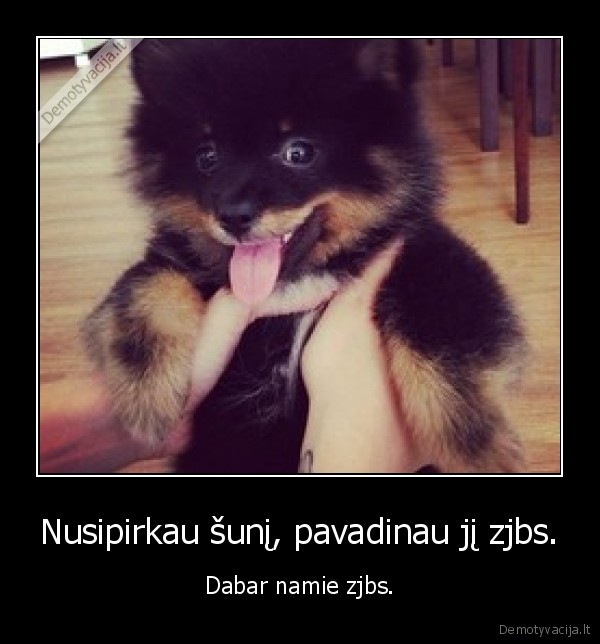 Nusipirkau šunį, pavadinau jį zjbs.