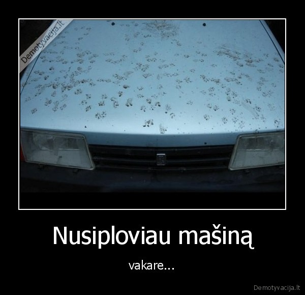 masina,katinai