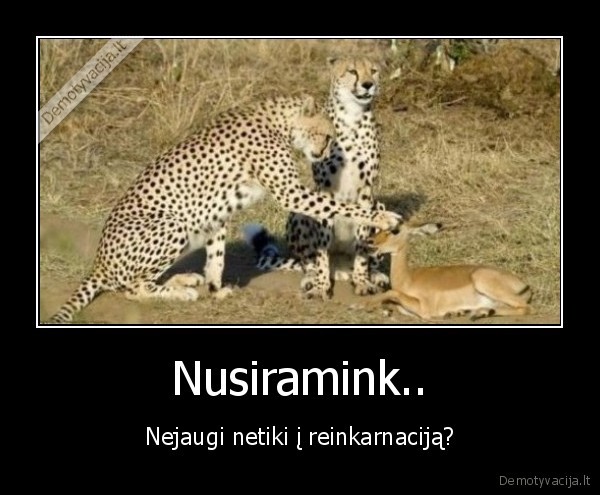 Nusiramink..
