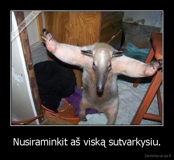 Nusiraminkit aš viską sutvarkysiu.
