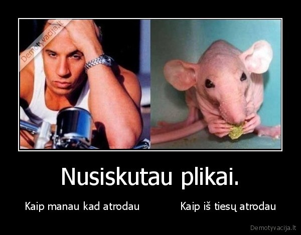Nusiskutau plikai.