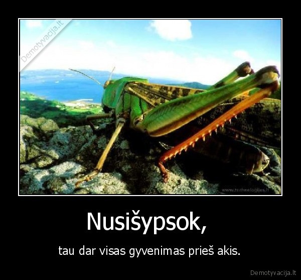 Nusišypsok, 