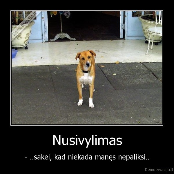 Nusivylimas
