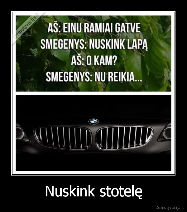 bmw,lapai,stoteles