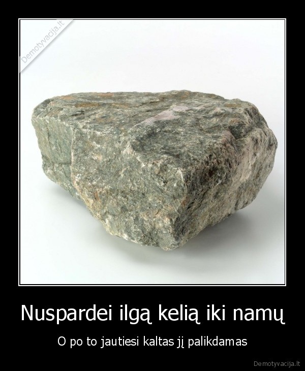 Nuspardei ilgą kelią iki namų