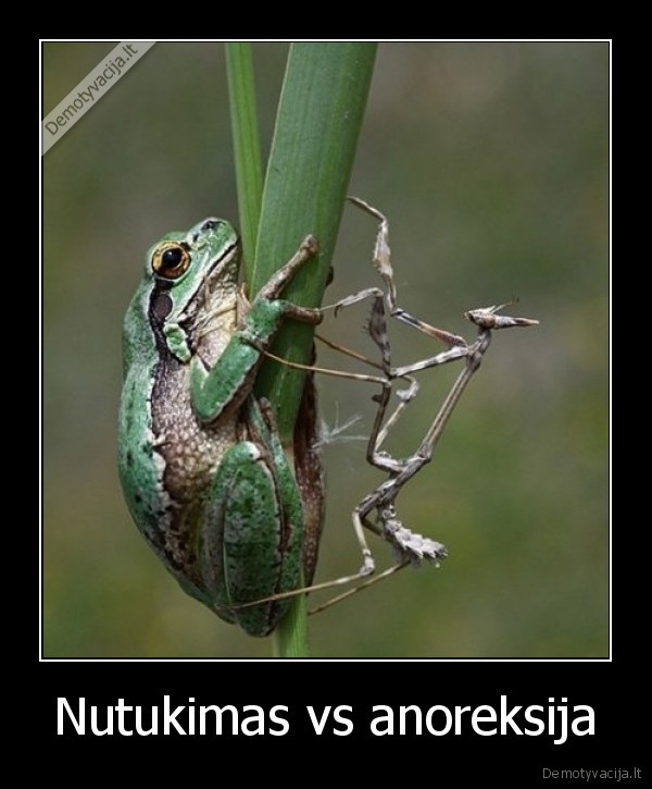 Nutukimas vs anoreksija