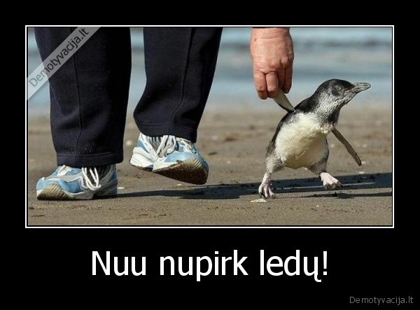 Nuu nupirk ledų!