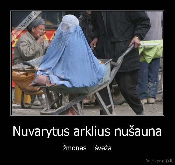 arklys,zmona