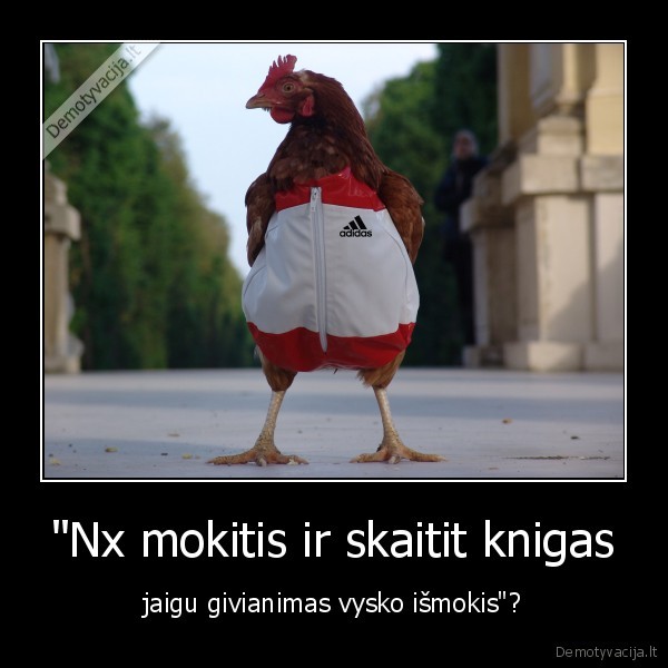 mokytis,skaityti,pacanai,klaidos