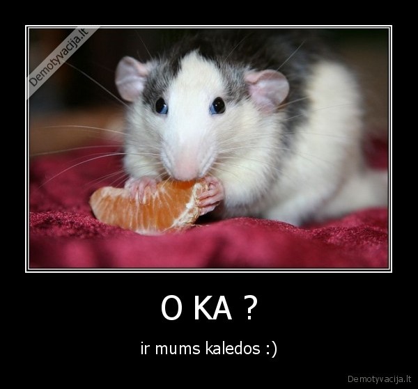 O KA ?