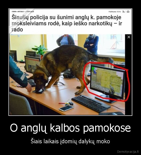 counter, strike,cs