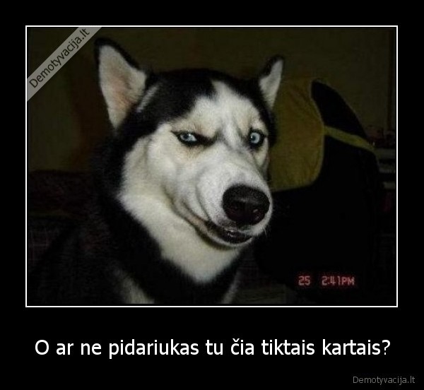 haskis,pidariukas