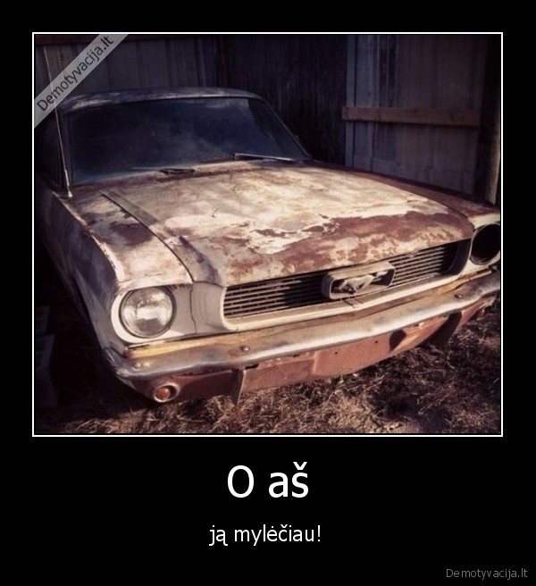 mustang,ford