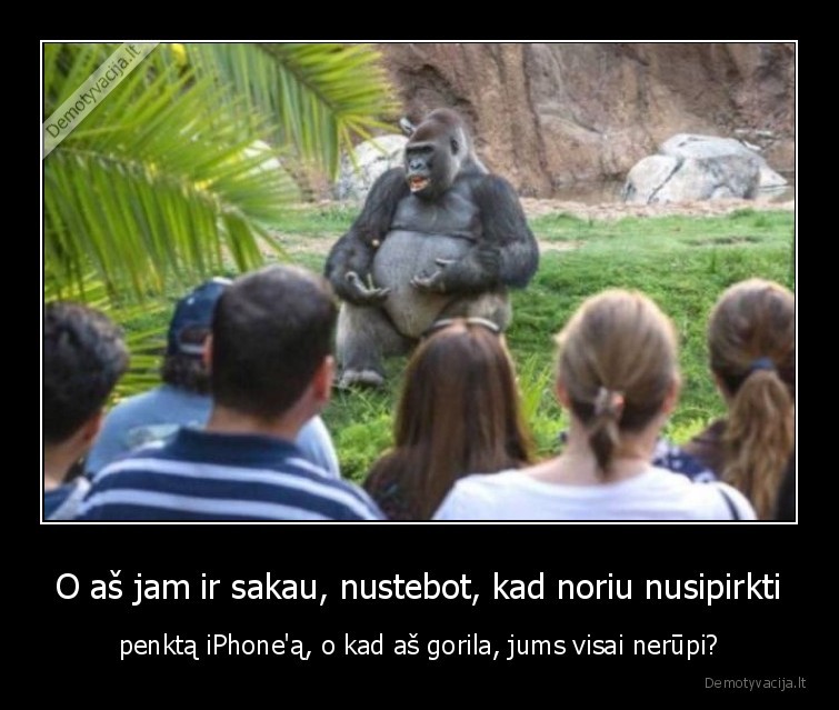 gorila,stand, up,pasakoja