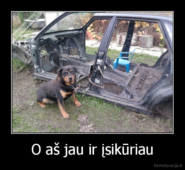O aš jau ir įsikūriau
