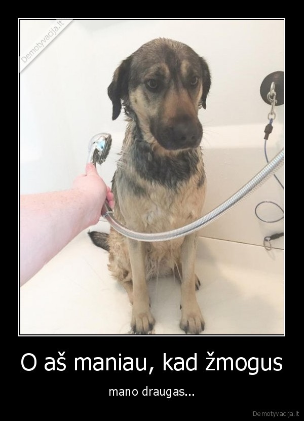 O aš maniau, kad žmogus