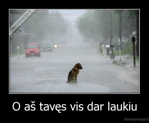 O aš tavęs vis dar laukiu