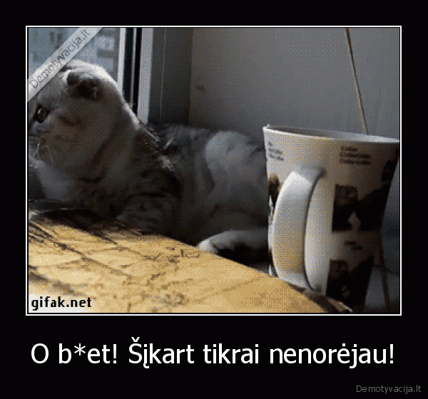 numete, puoduka,katinas