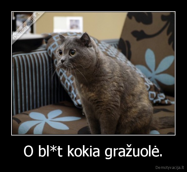 O bl*t kokia gražuolė.
