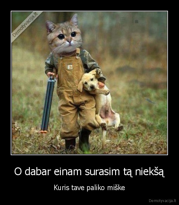 katinas,suo