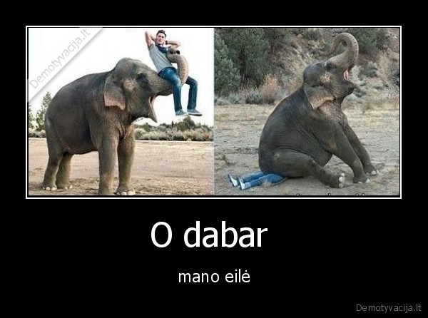 dramblis