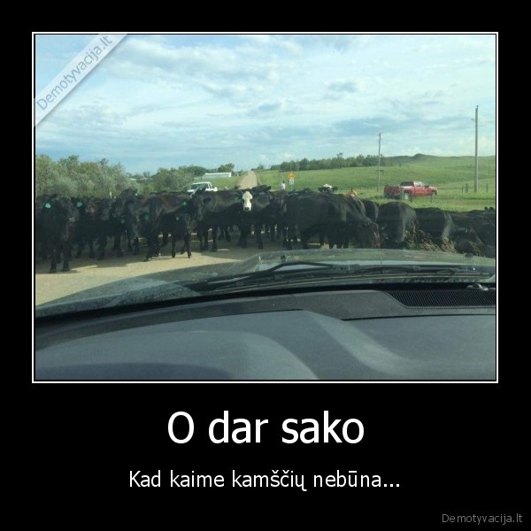kamstis, kaime,karviu, banda
