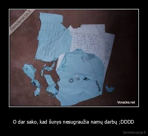 O dar sako, kad šunys nesugraužia namų darbų ;DDDD