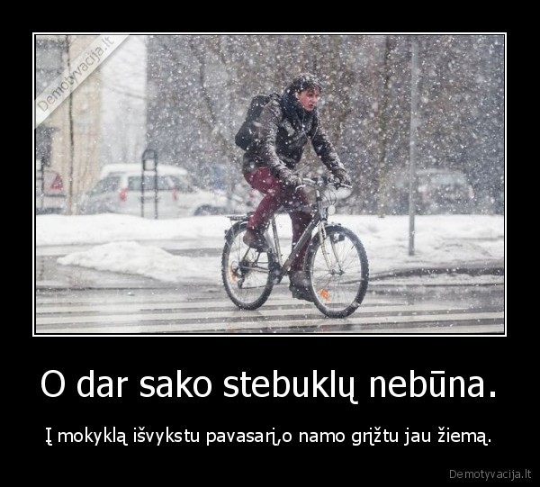 humoras