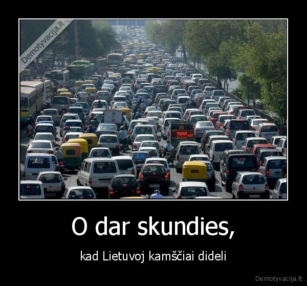 kamsciai,automobiliai