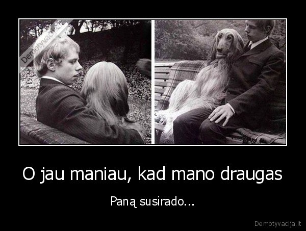 suo,ilgi, plaukai