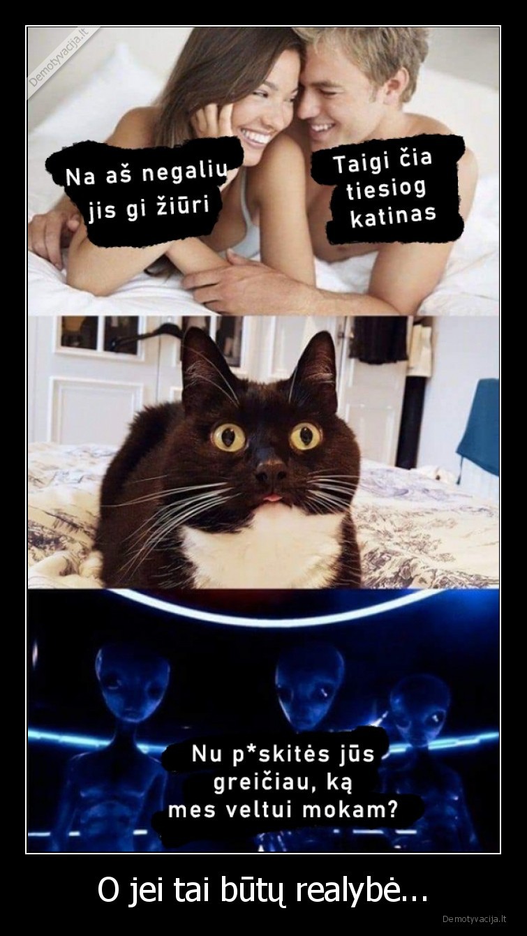 seksas,katinas,ziuri