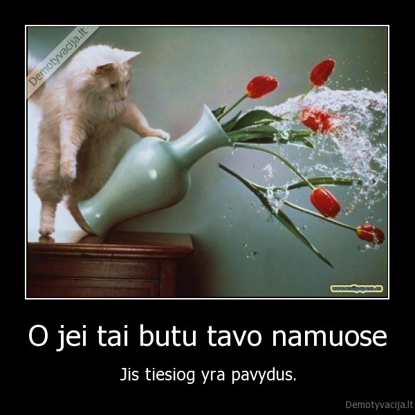 O jei tai butu tavo namuose
