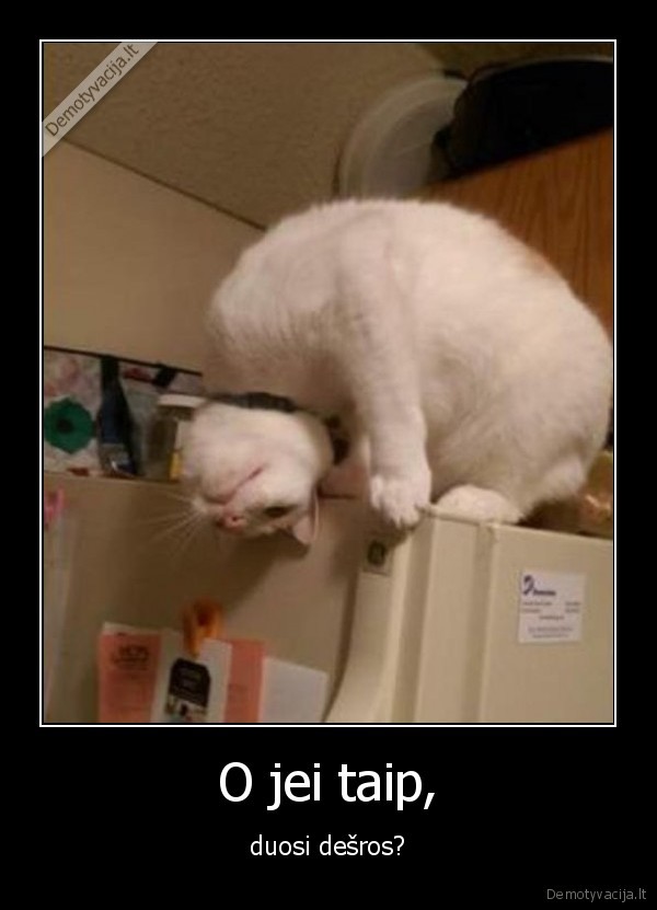 O jei taip,