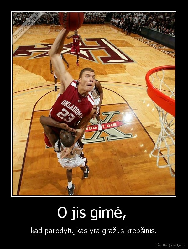 griffin, zveris, nesveikas, baltas, suolis