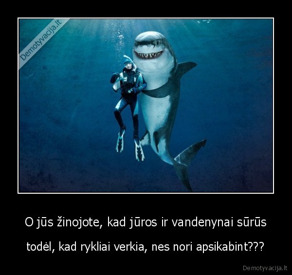 jura,vandenynas,suru,rykliai