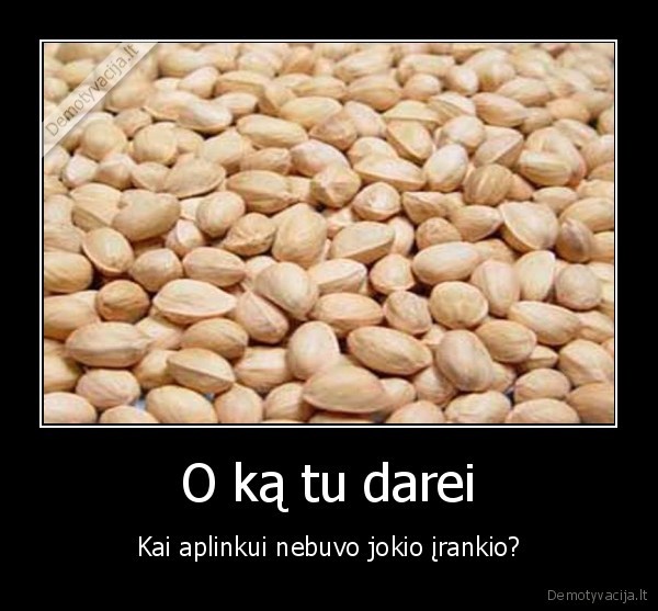 kubilius, krapsto, bieberiui, ausi, su, morka